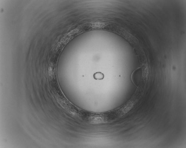 X0000051920655200507082056