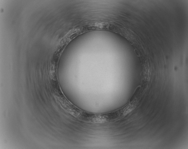 X0000051920656200507082056