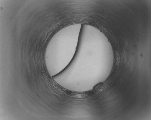 X0000051920657200507082056