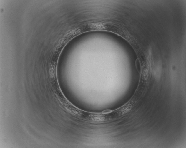 X0000051920658200507082056