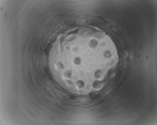 X0000051920659200507082056