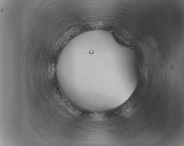 X0000051920660200507082056