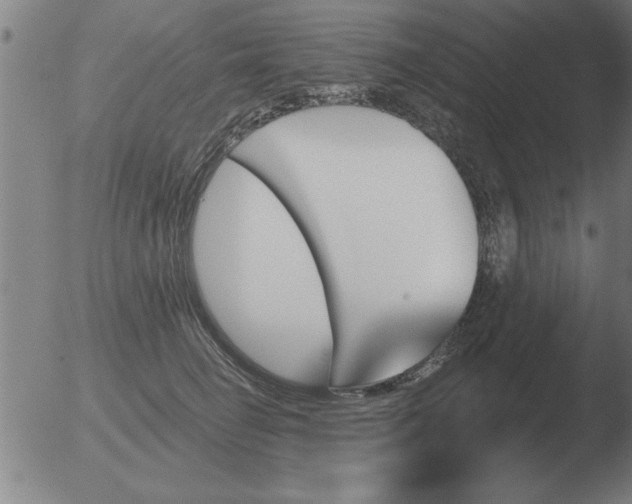 X0000051920662200507082056