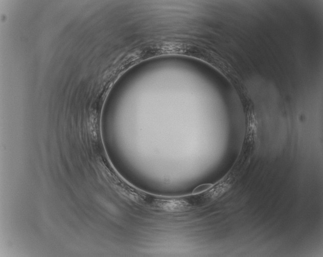 X0000051920663200507082056