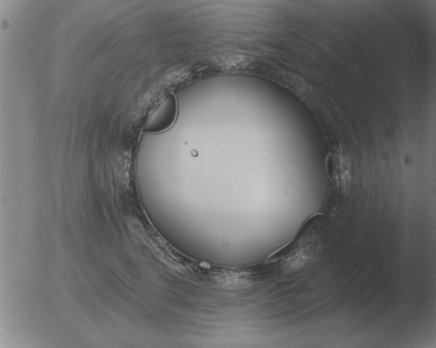 X0000051920664200507082056