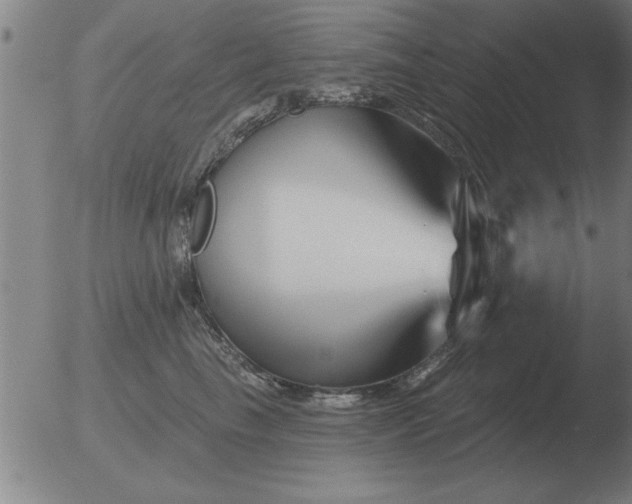 X0000051920665200507082056