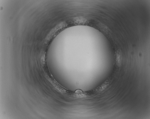 X0000051920668200507082056