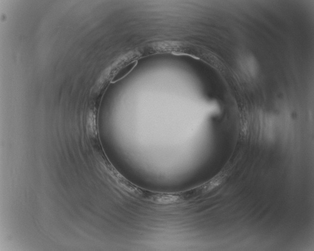 X0000051920669200507082056