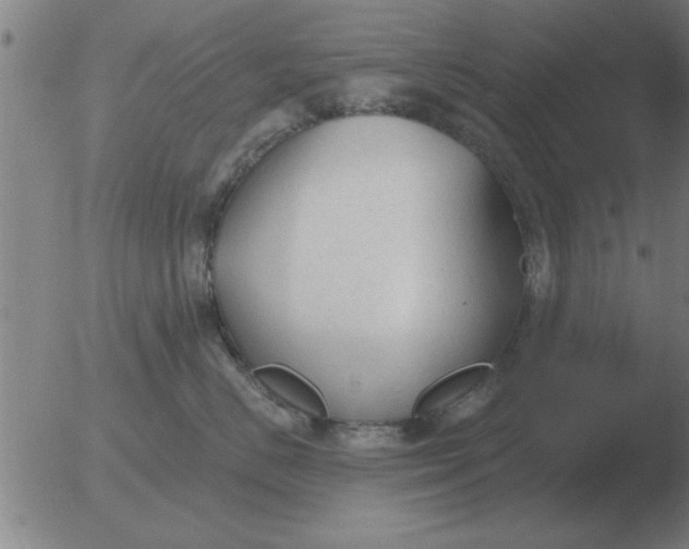 X0000051920670200507082056