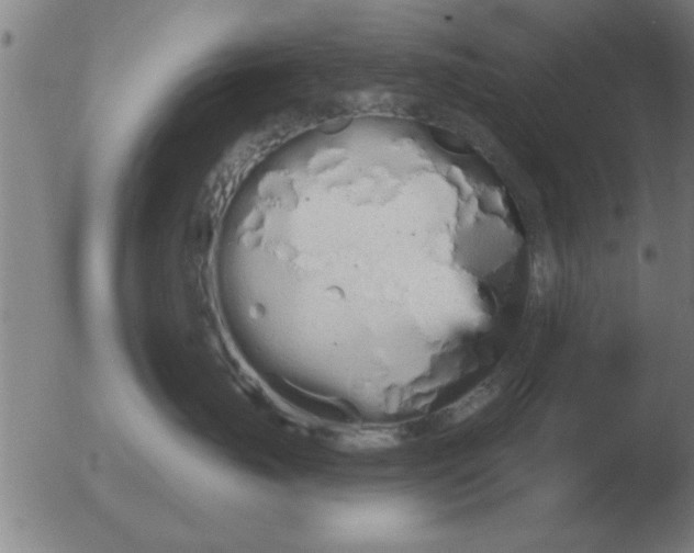 X0000051920671200507082056