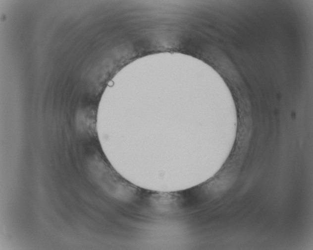 X0000051920672200507082056