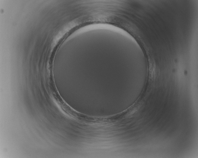 X0000051920674200507082056