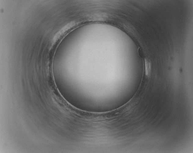 X0000051920675200507082056