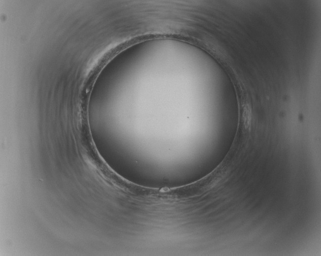 X0000051920676200507082055