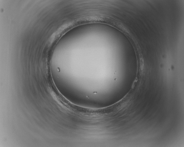 X0000051920677200507082055