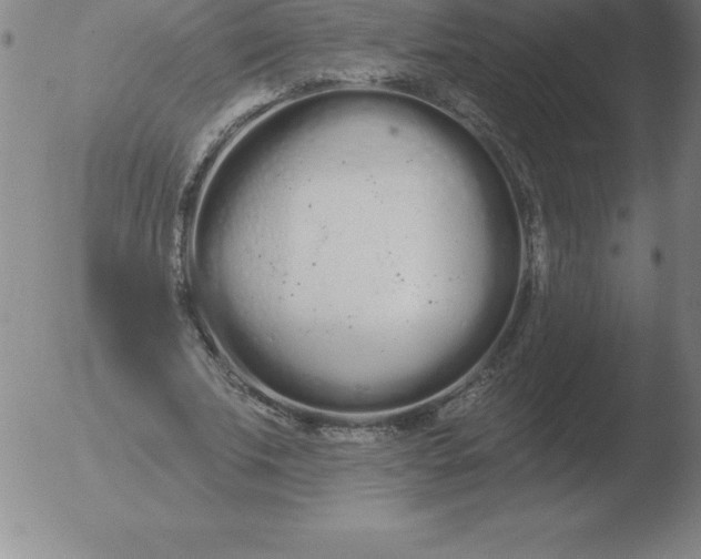 X0000051920679200507082055