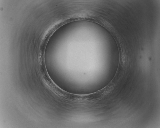 X0000051920680200507082055