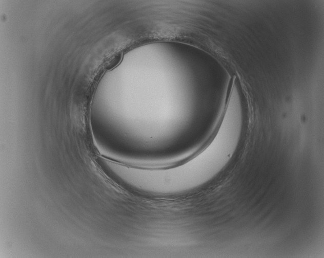 X0000051920681200507082055