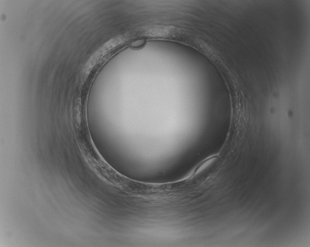 X0000051920682200507082055