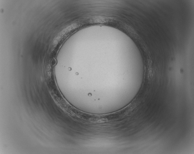 X0000051920683200507082055