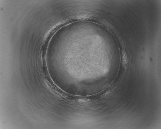 X0000051920684200507082055