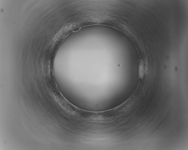 X0000051920685200507082055