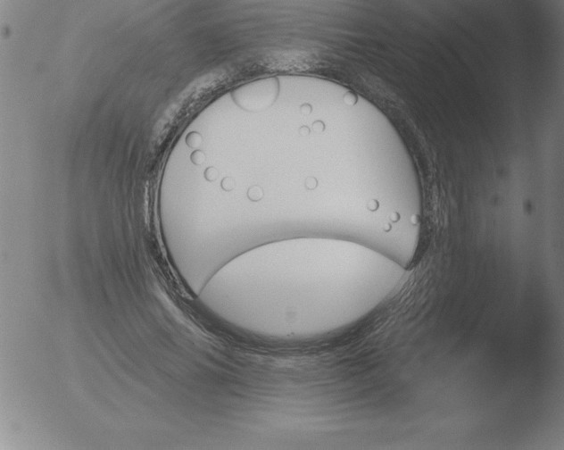 X0000051920686200507082055