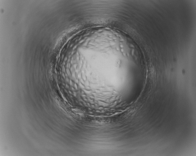 X0000051920688200507082055