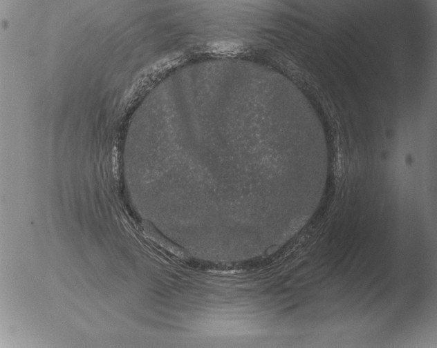 X0000051920689200507082055