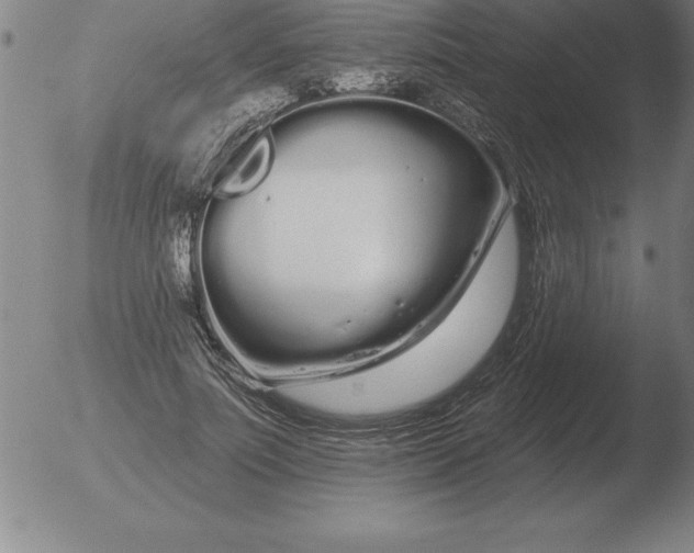 X0000051920691200507082055