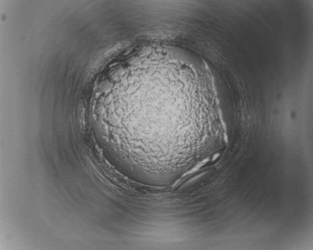 X0000051920692200507082055