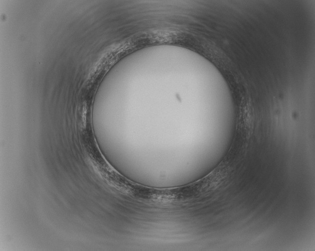 X0000051920694200507082055