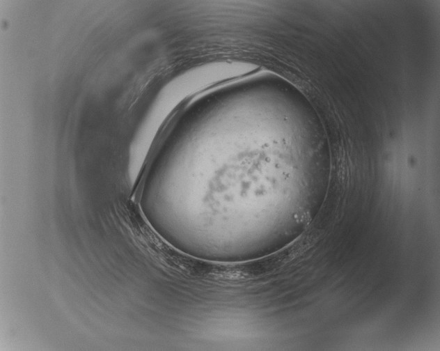 X0000051920695200507082055