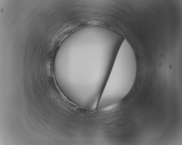 X0000051920696200507082055