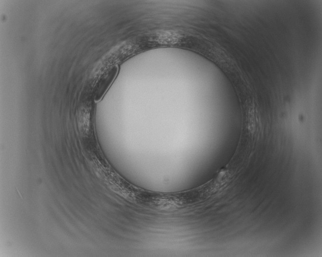 X0000051920697200507082055