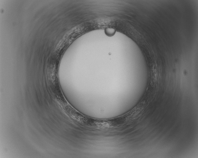 X0000051920698200507082055