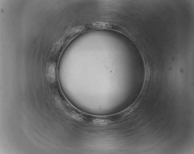 X0000051920699200507082055