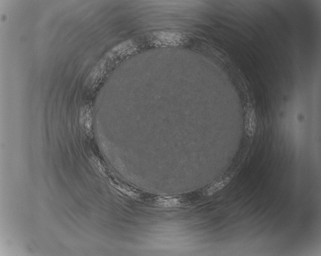 X0000051920701200507082055