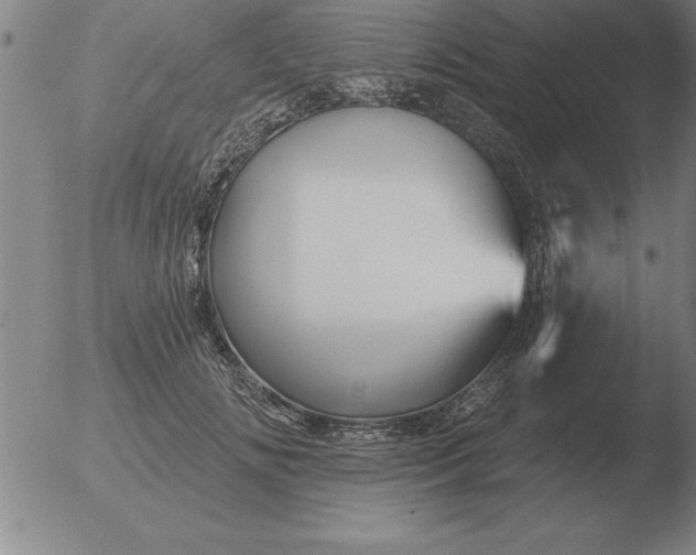 X0000051920702200507082055