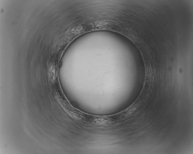 X0000051920703200507082055