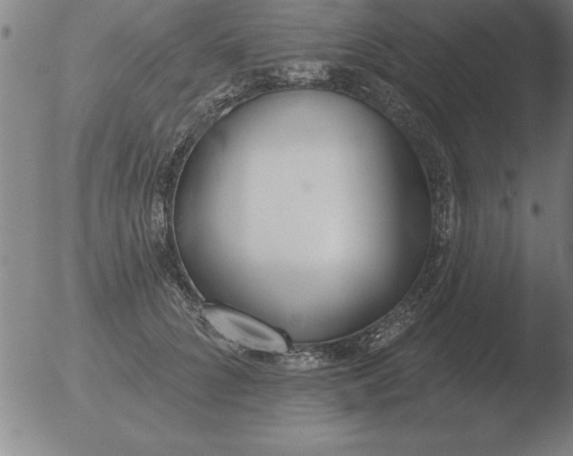 X0000051920704200507082055