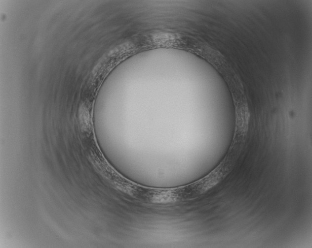 X0000051920705200507082055