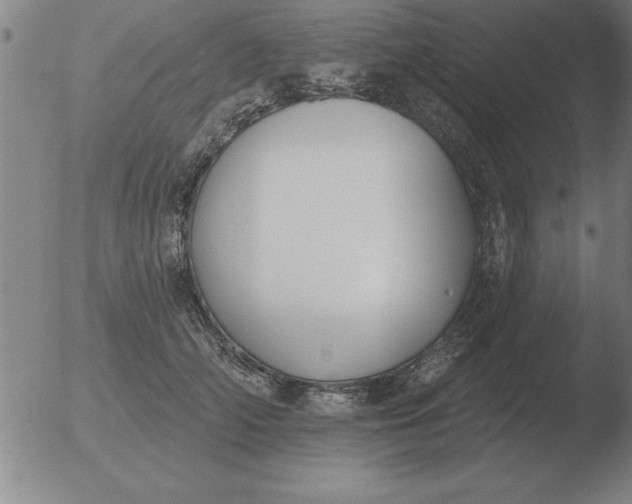 X0000051920706200507082055