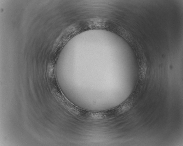 X0000051920709200507082055