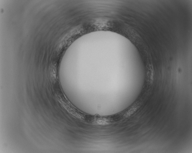 X0000051920710200507082055