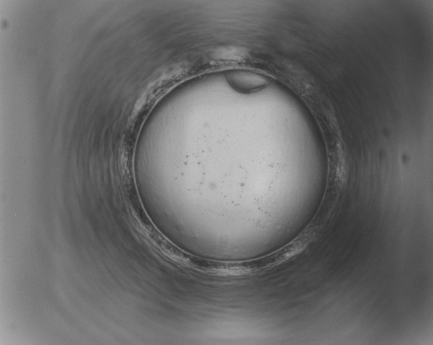 X0000051920711200507082055