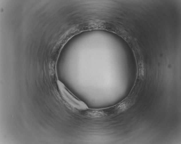 X0000051920712200507082055