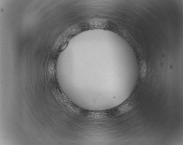 X0000051920713200507082055