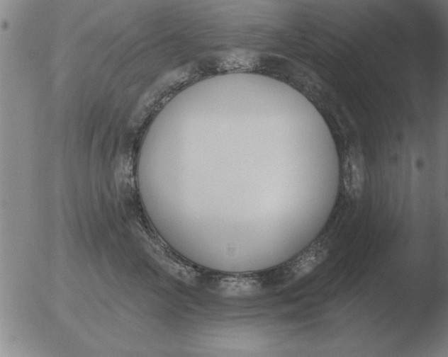 X0000051920714200507082055