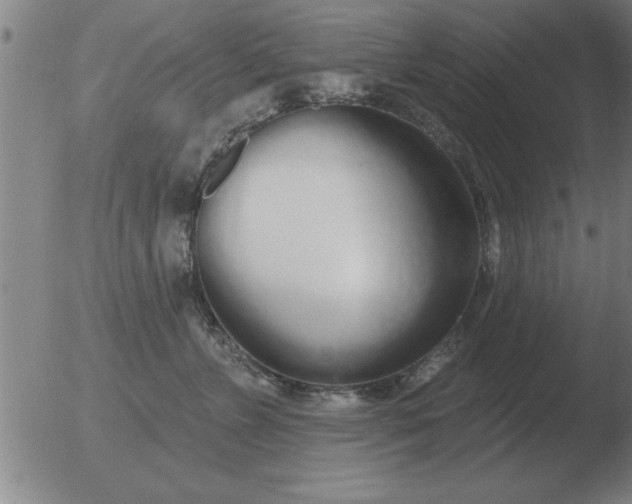 X0000051920715200507082055